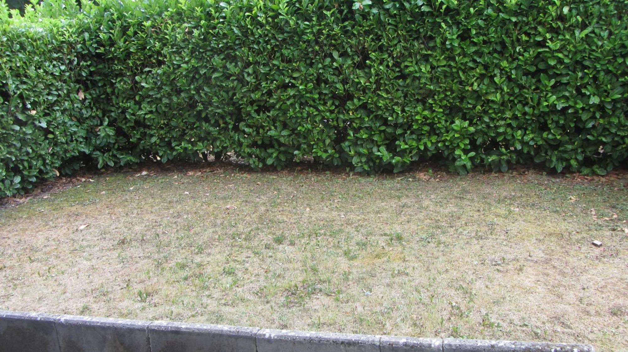 Le Nid Savoyard Apartment ฟาแวชส์ ภายนอก รูปภาพ